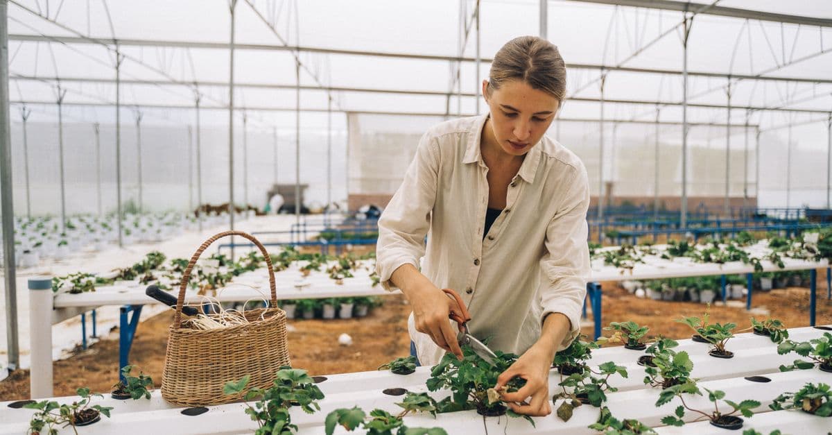 Cách viết CV ngành nông nghiệp và agritech — Kỹ sư nông nghiệp và chuyên viên agri cần hồ sơ gì?